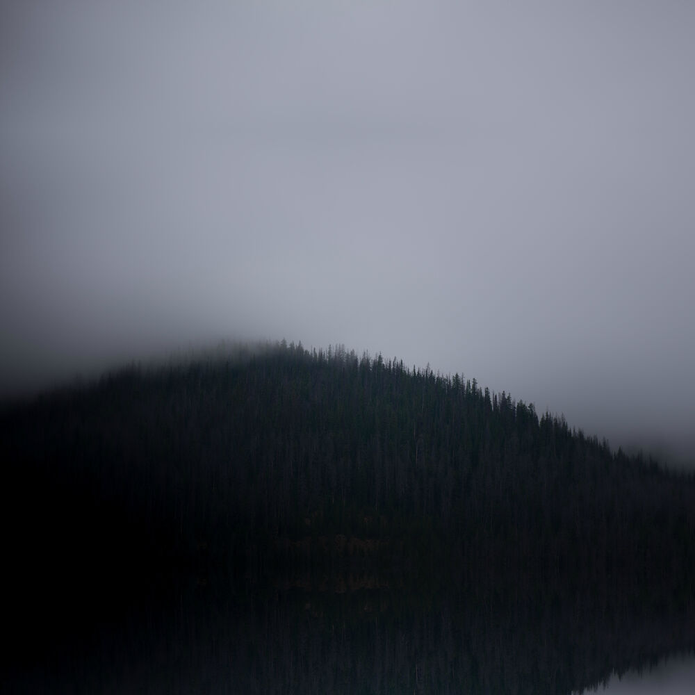Picture of Radio Silence