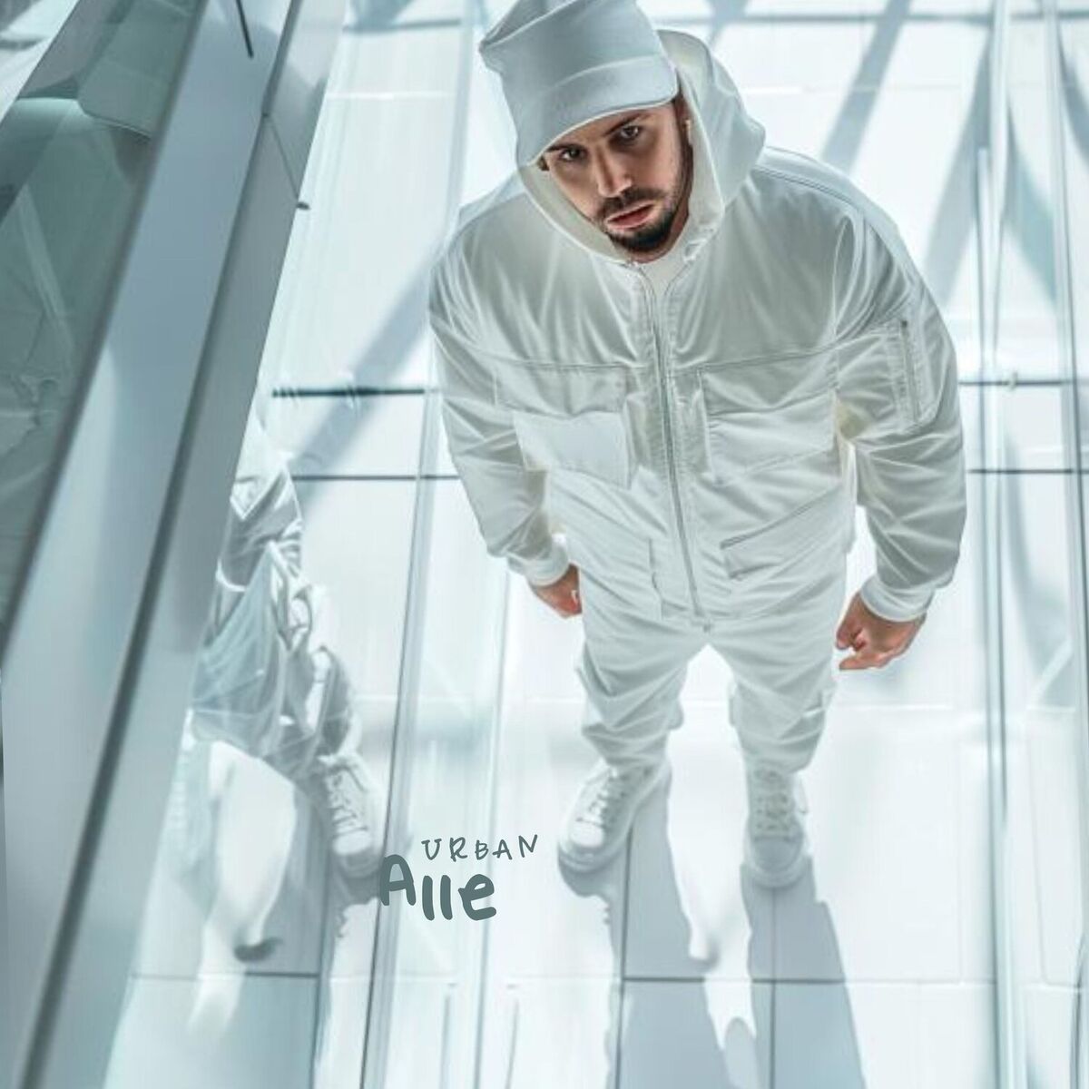 Album cover of Alle