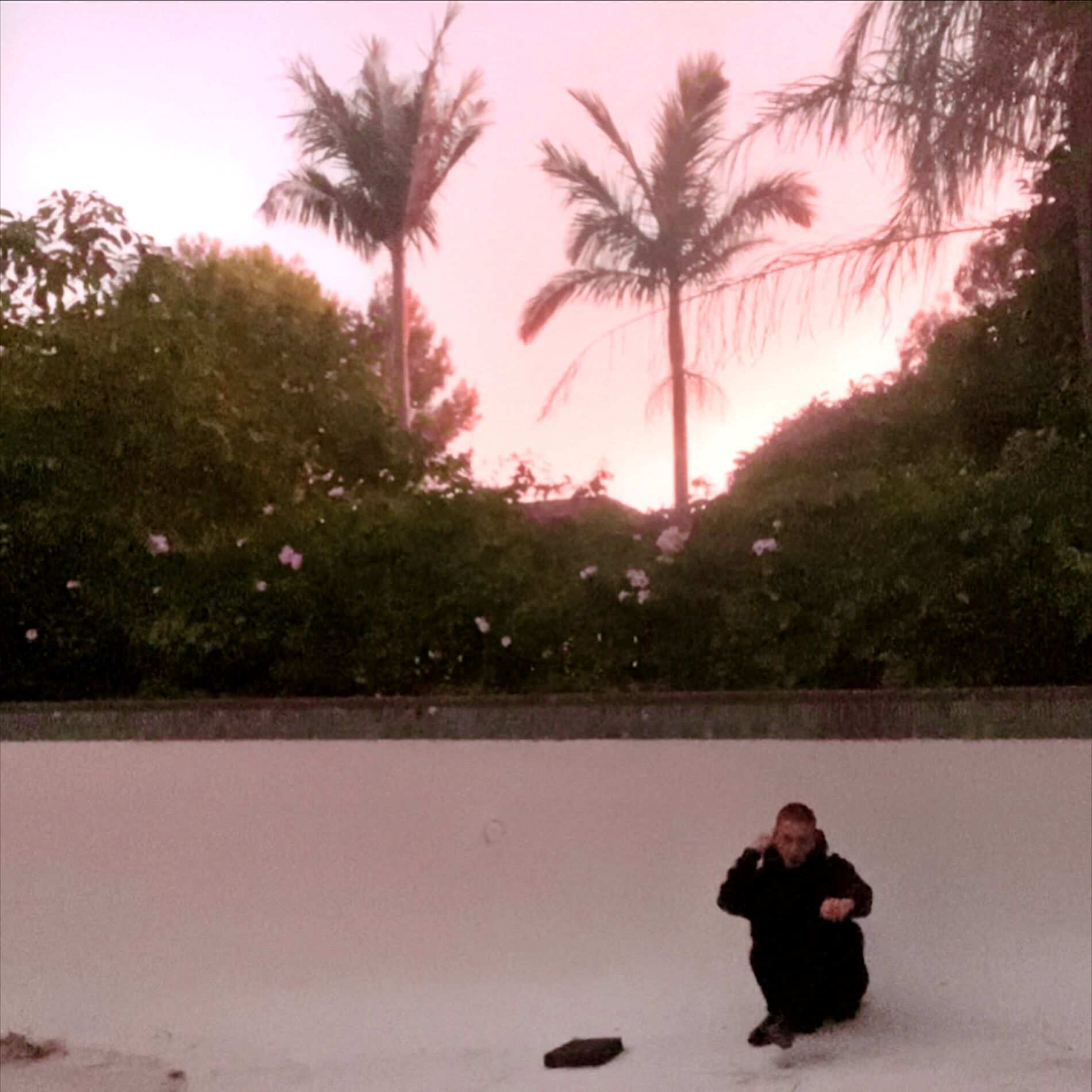 Album cover of Burnt