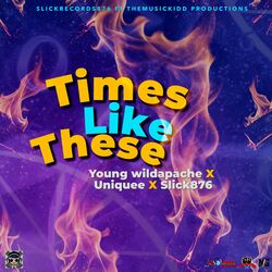 Cover of Times Like These