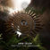 Save the World by Amir Telem album cover