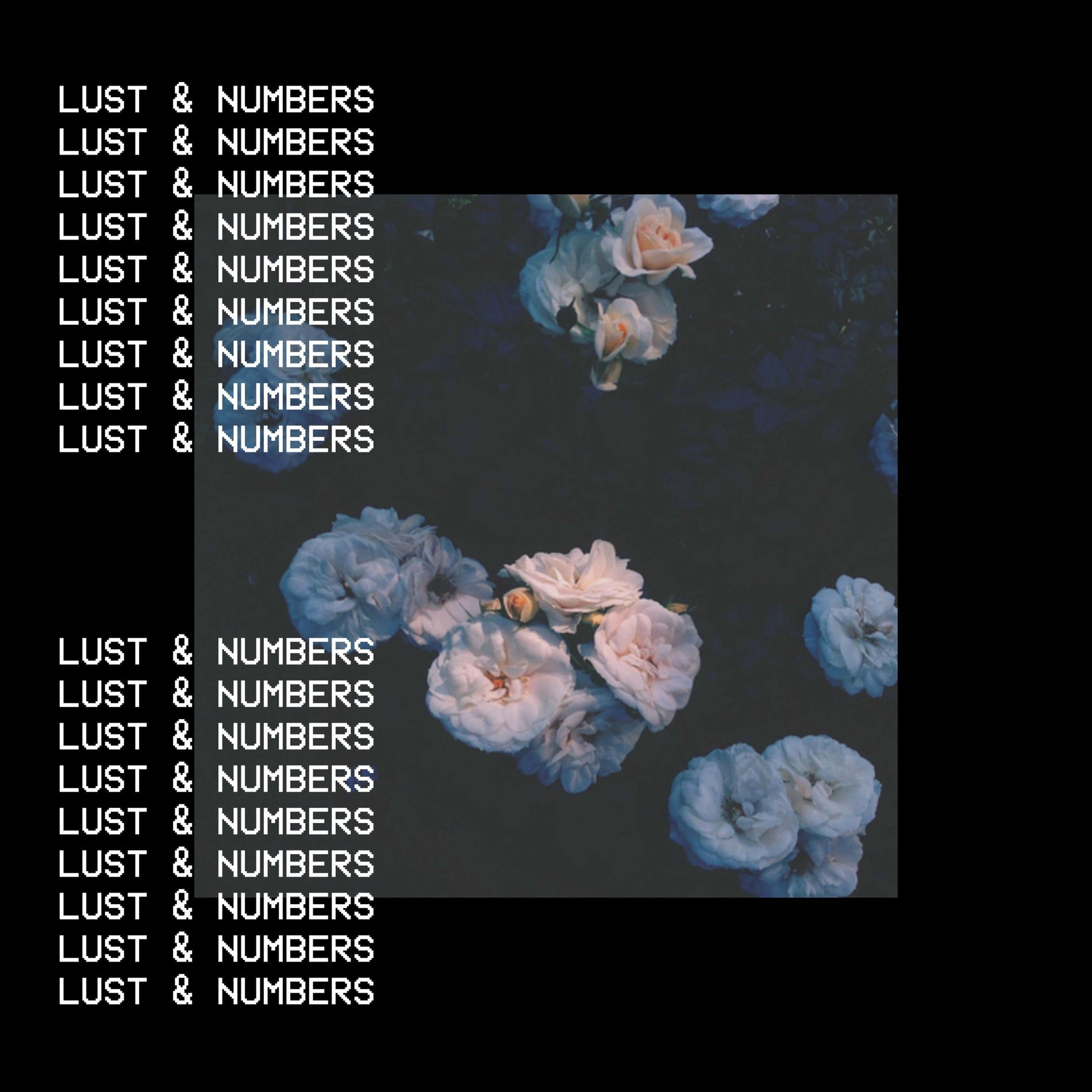 Album cover of Lust & Numbers
