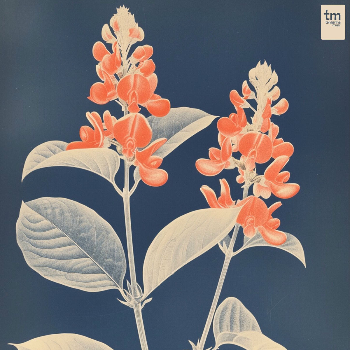 Album cover of Soul's Nest
