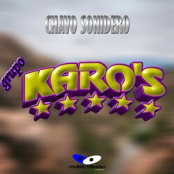 Cover of Chavo Sonidero