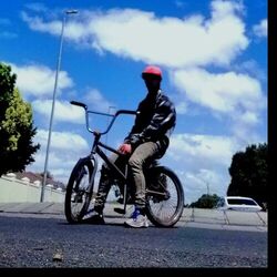 Cover of Loo$ing