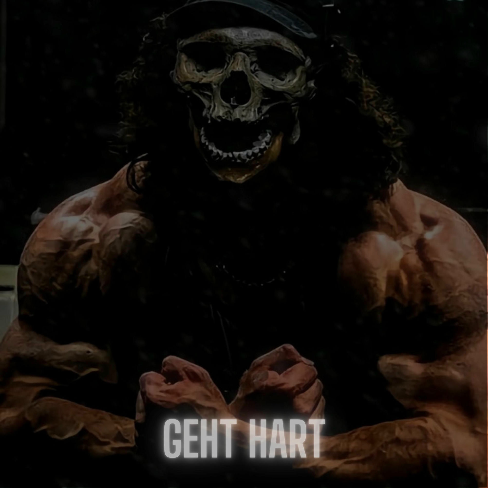 Album cover of geht hart