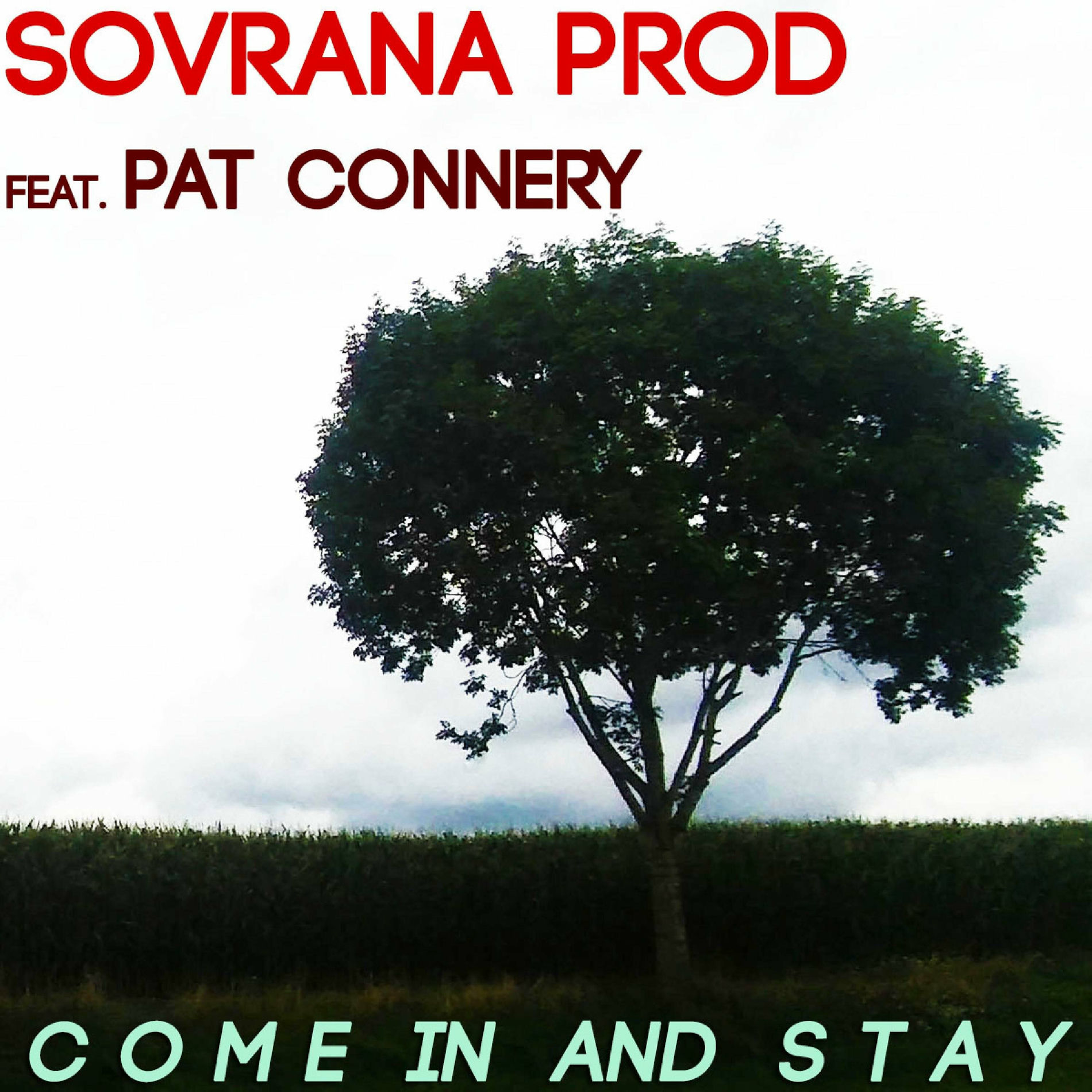 Album cover of Come In And Stay (feat. Pat Connery)