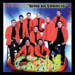 Cover of Grito En Silencio