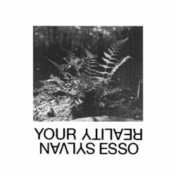 Cover of Your Reality