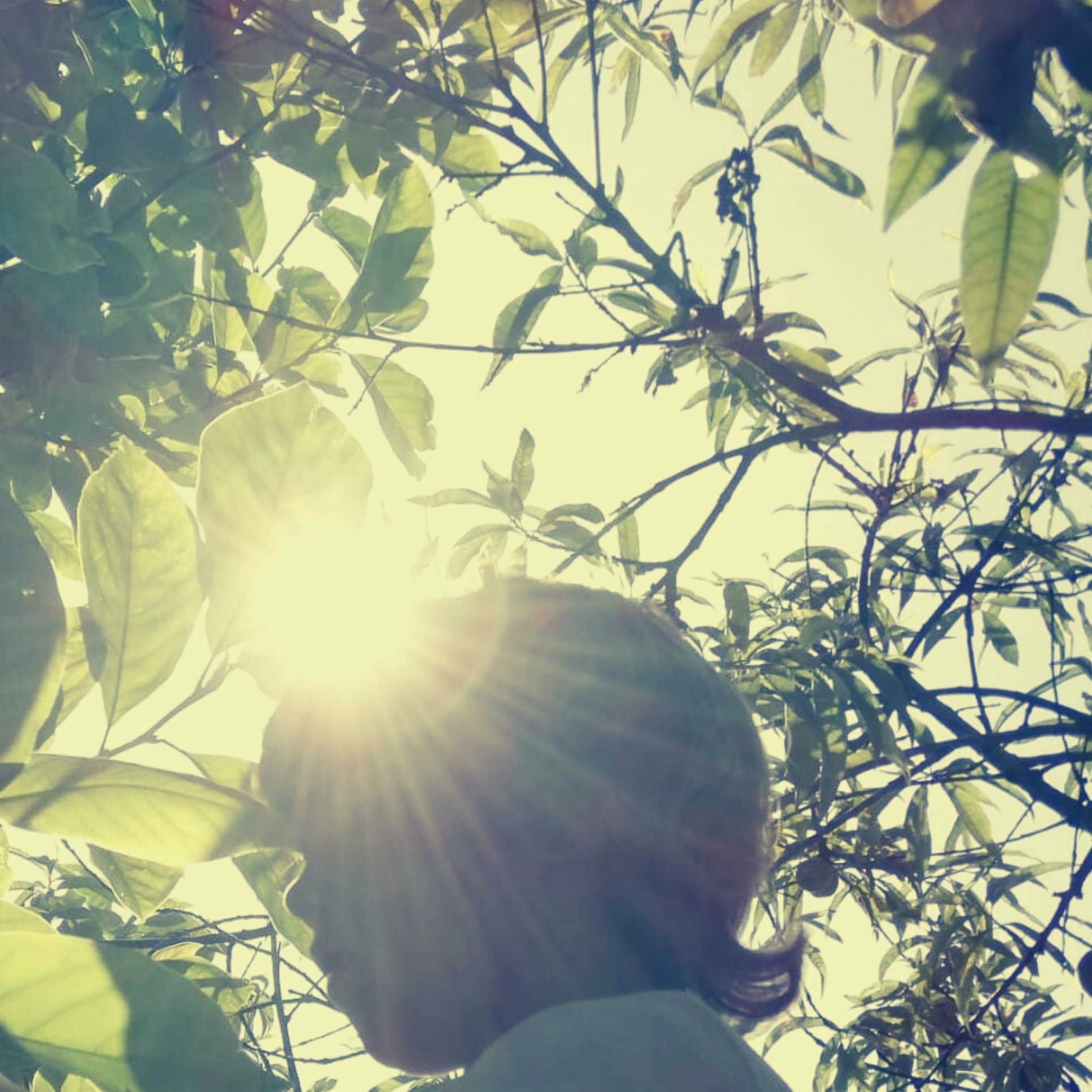 Album cover of Alvorada