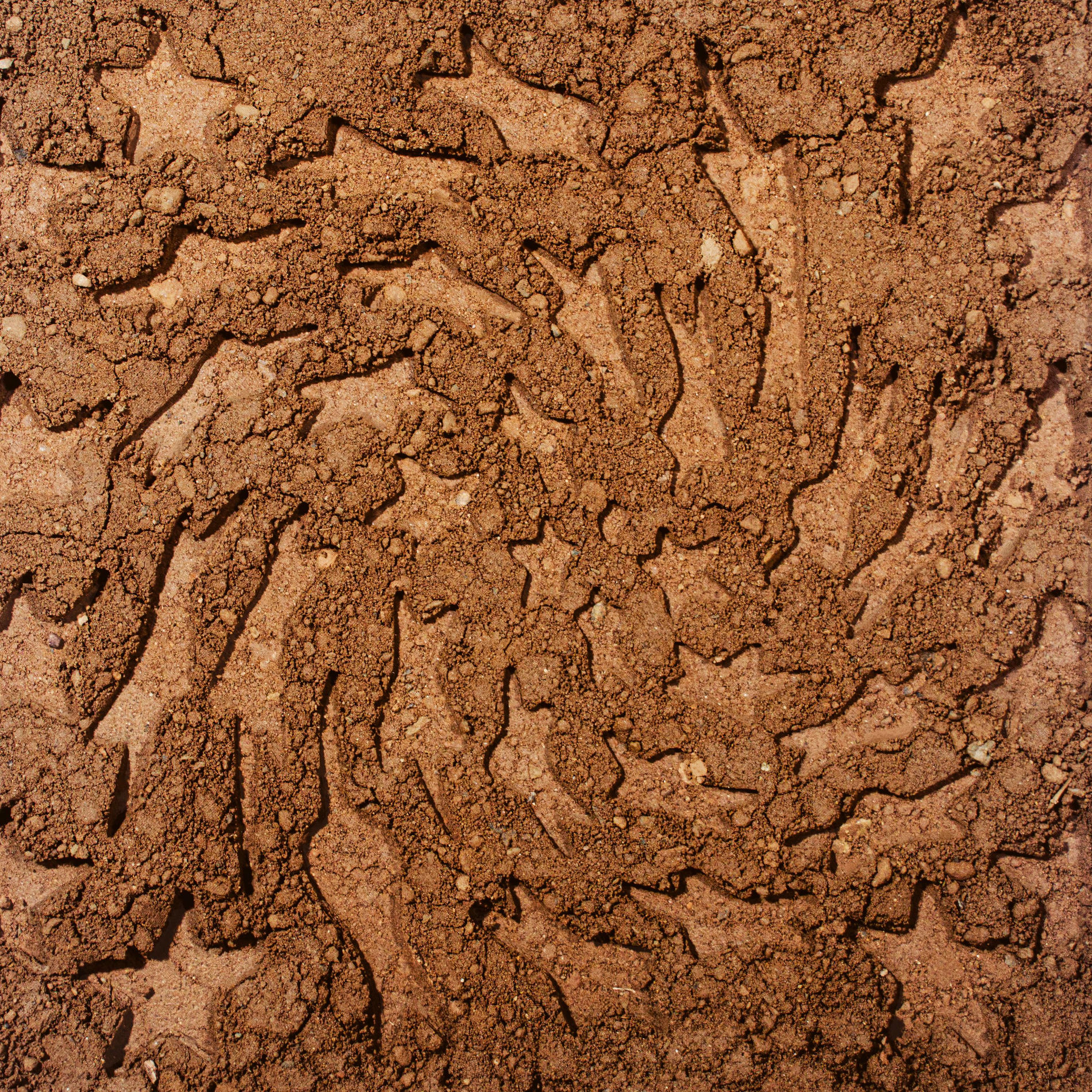 Album cover of Unerthed: Hole Erth Unplugged