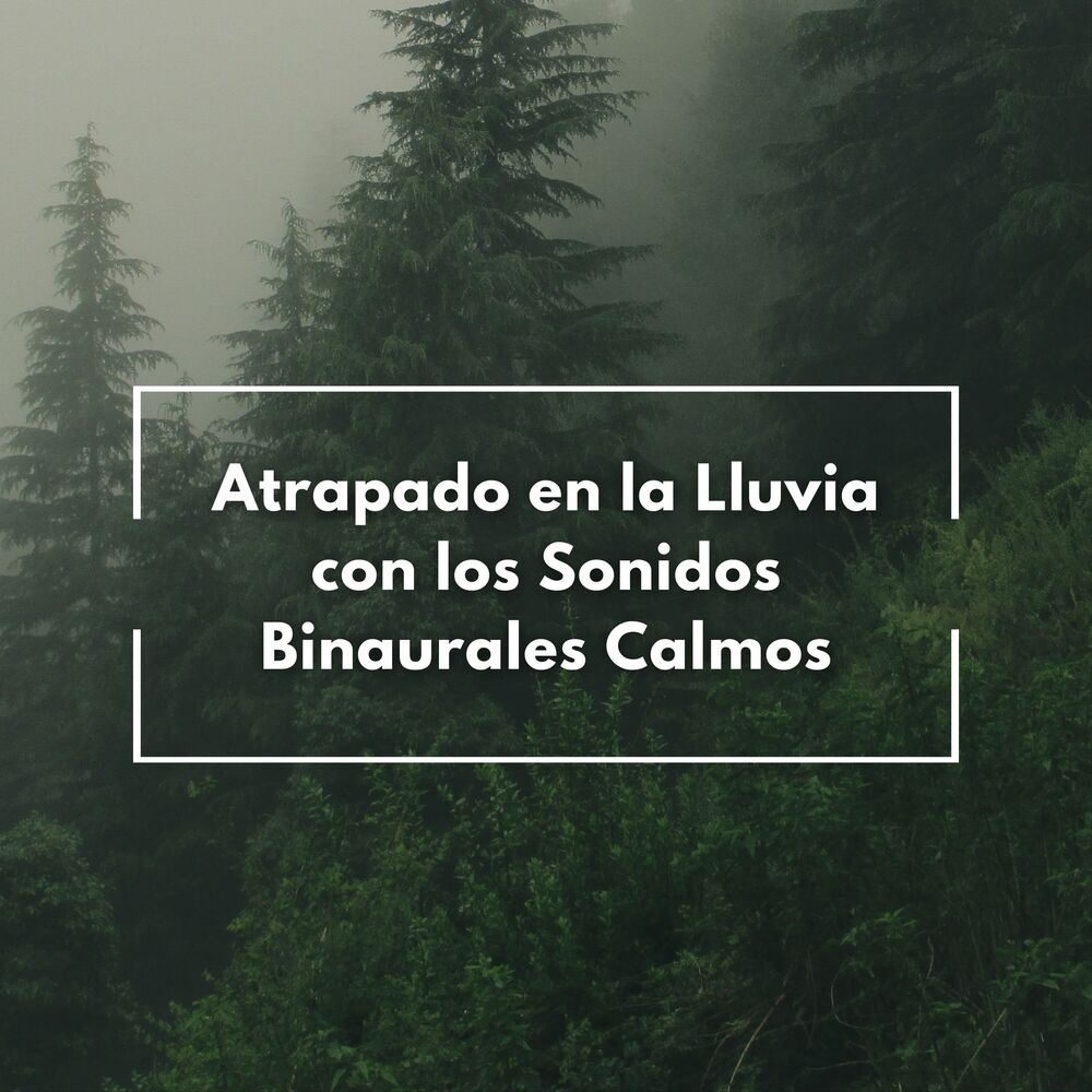 Picture of Atrapado En La Lluvia Con Los Sonidos Binaurales Calmos