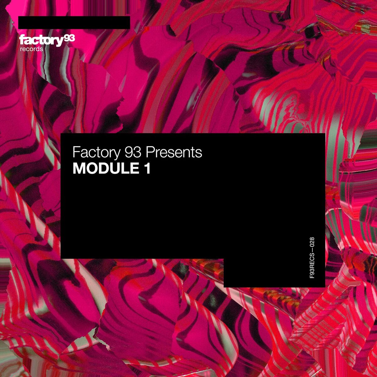 Album cover of Module 1