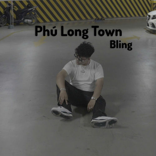 Phú Long Town