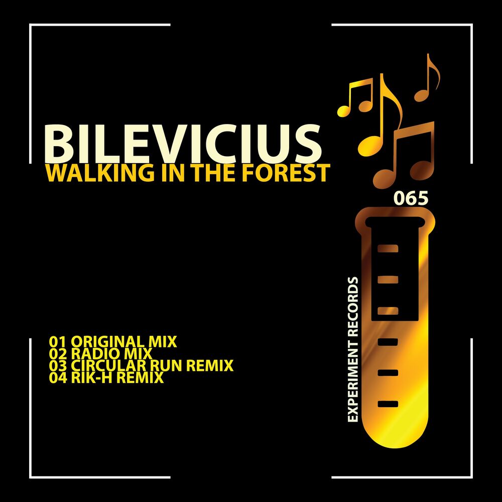 Picture of Walking In The Forest