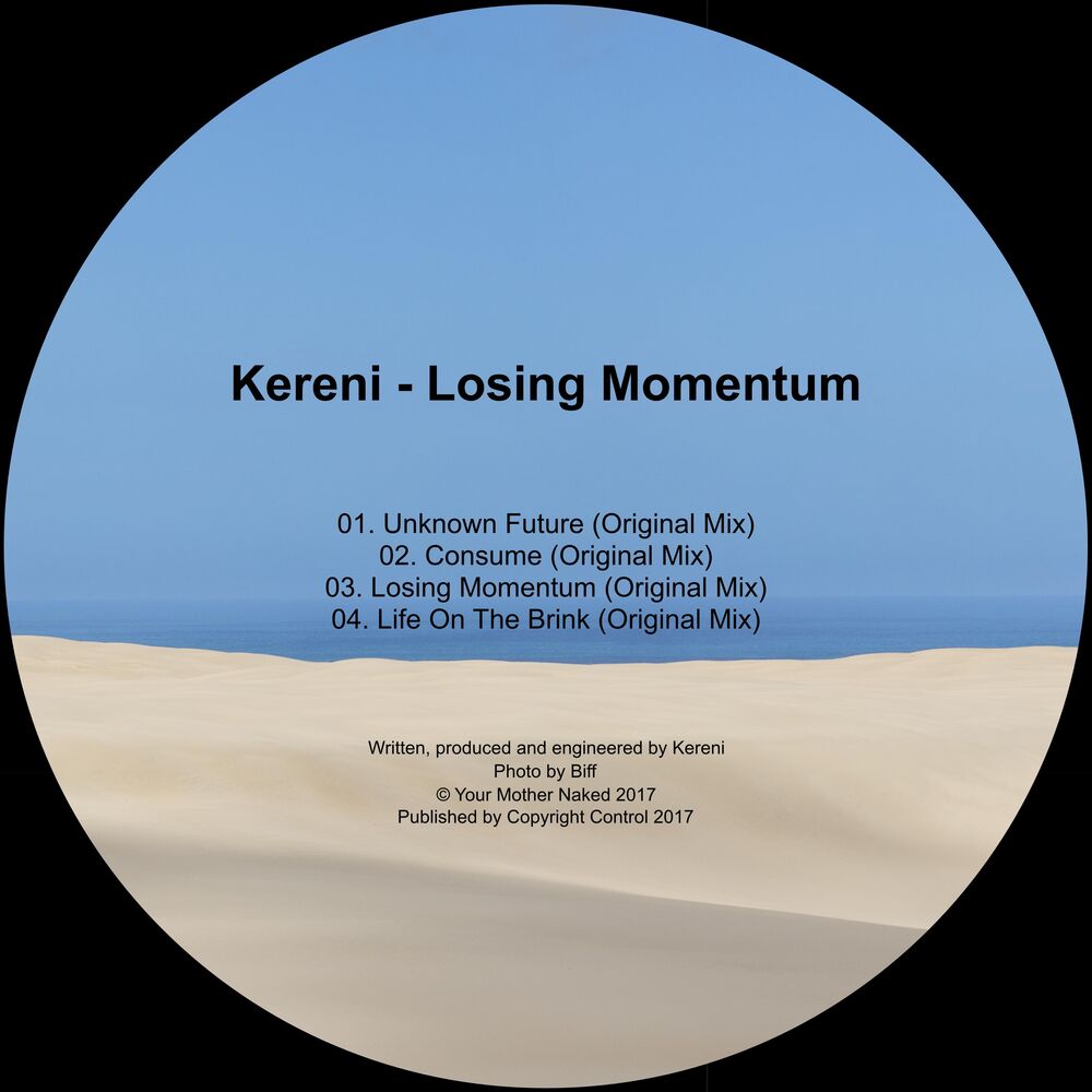 Picture of Losing Momentum