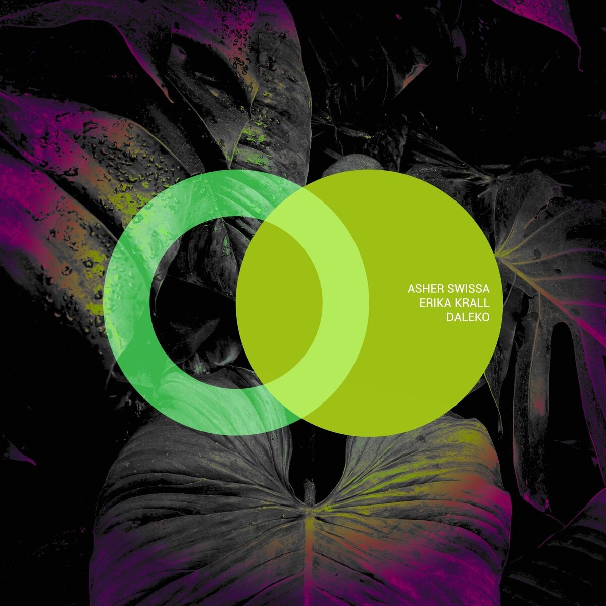 Album cover of Daleko