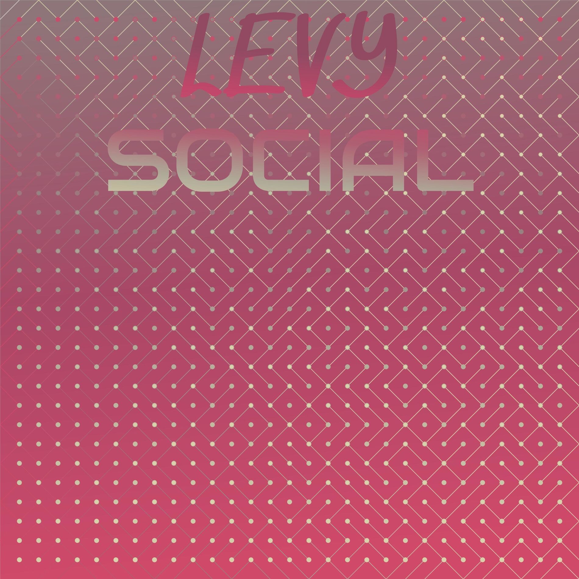 Album cover of Levy Social