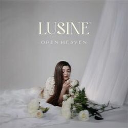 Cover of open heaven