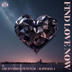 Cover of Find Love Now