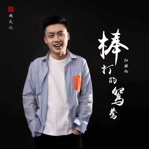 棒打的鸳鸯(DJ默涵版)