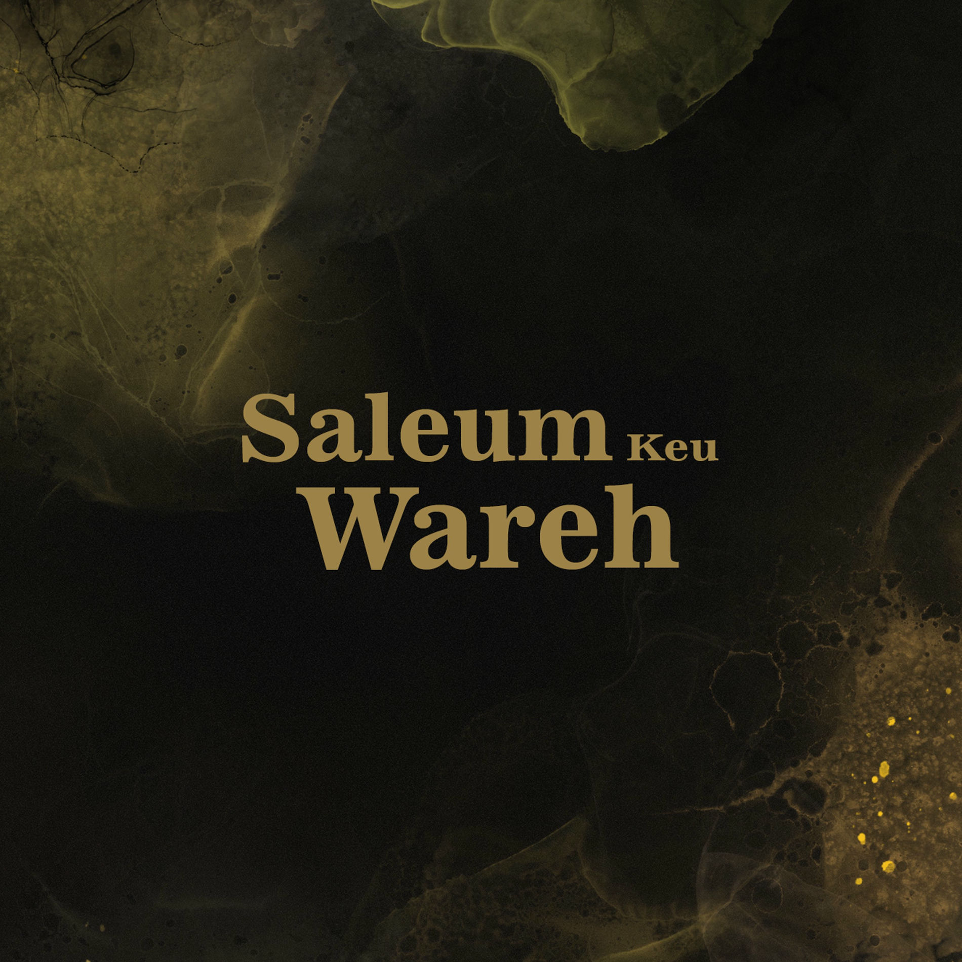 Album cover of Saleum Keu Wareh