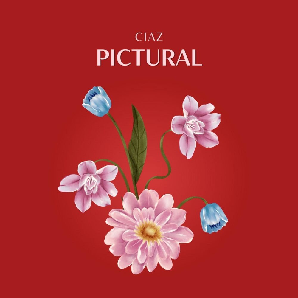 Picture of Pictural