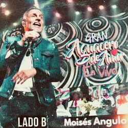 Cover of Gran Aguacero de Amor - LADO B (En Vivo)