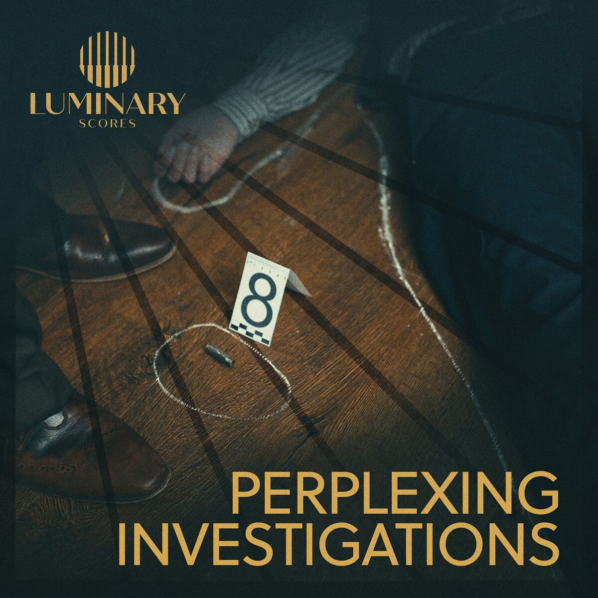 Album cover of Perplexing Investigations