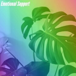 Cover of Emotional Support