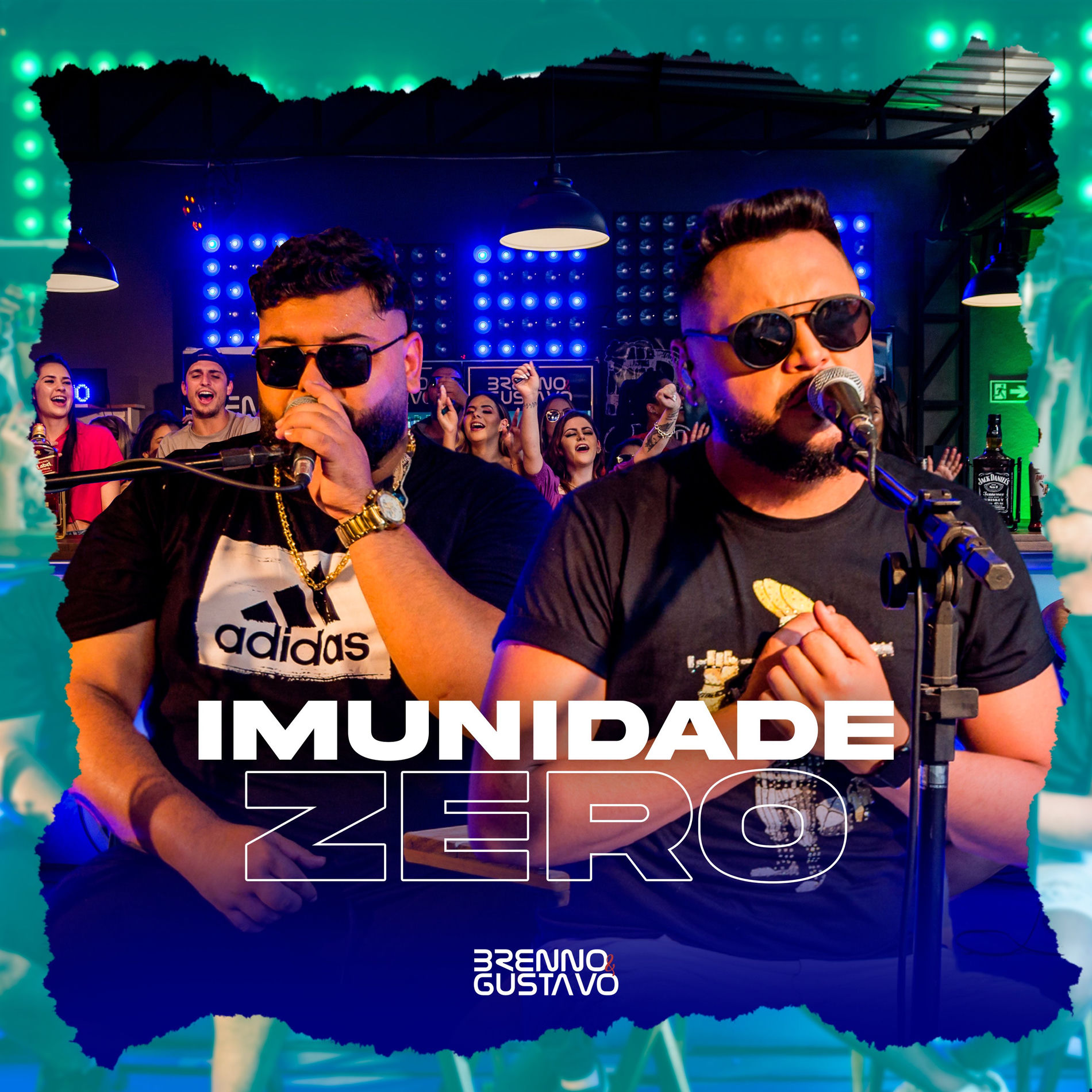 Album cover of Imunidade Zero