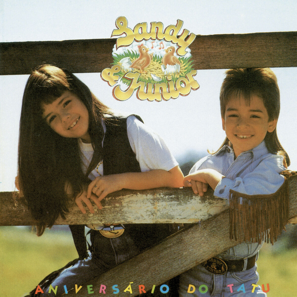 Album cover of Aniversário Do Tatu