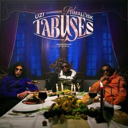 Cover of T'abuses
