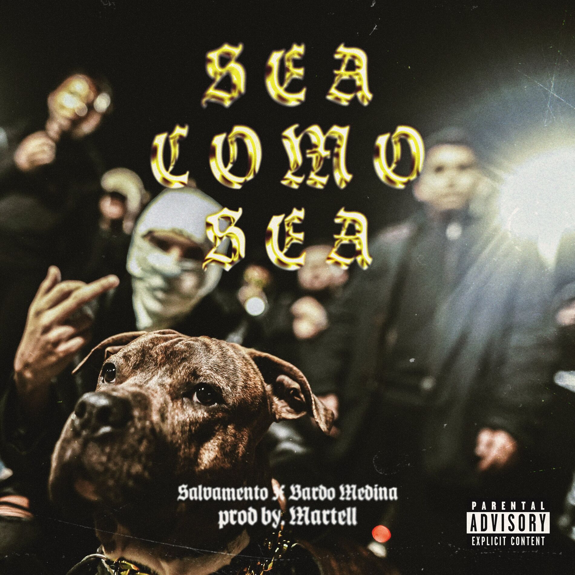 Album cover of Sea Como Sea