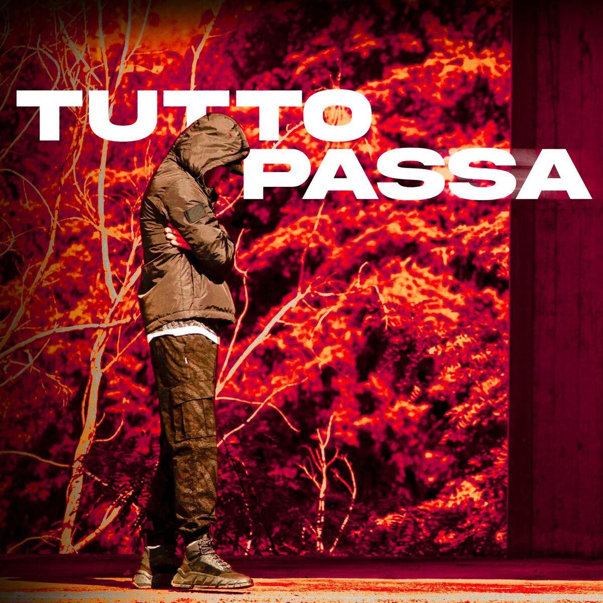 Album cover of TUTTO PASSA