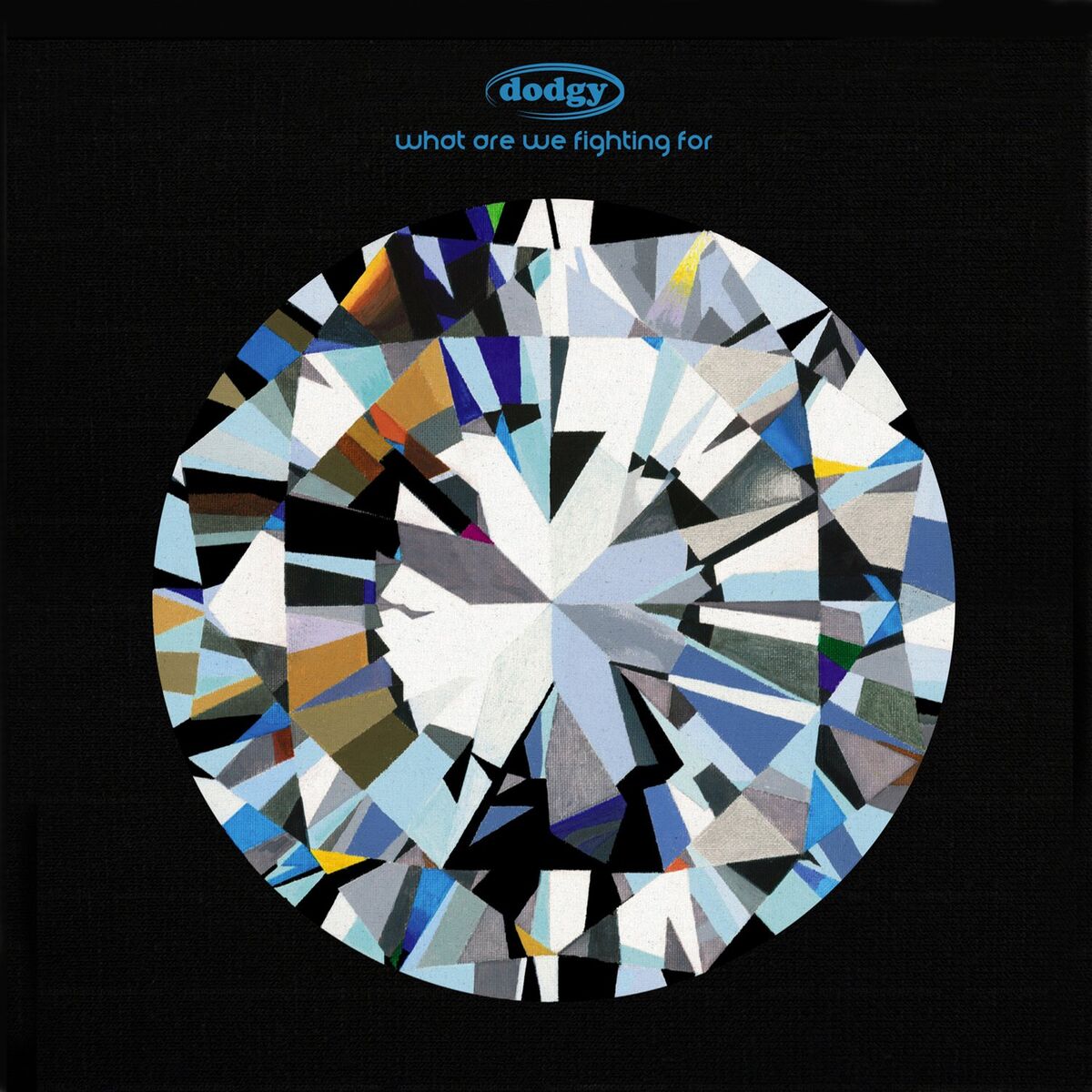 Album cover of What Are We Fighting For