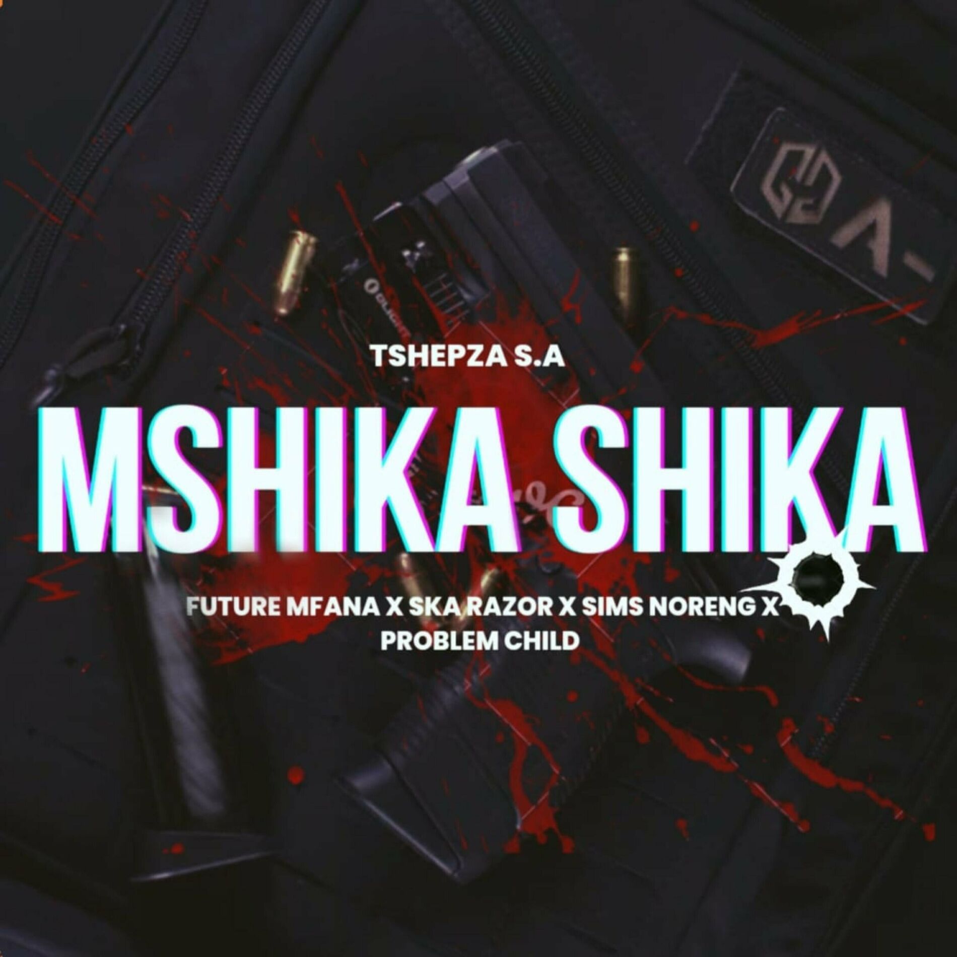 Album cover of Mshika Shika