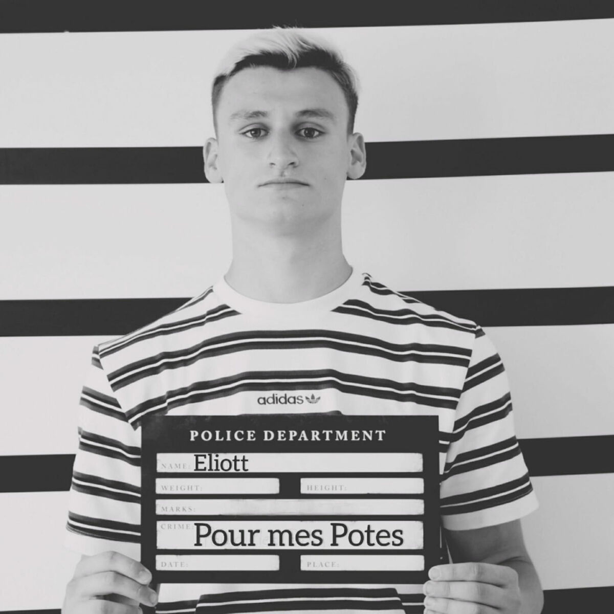 Album cover of POUR MES POTES