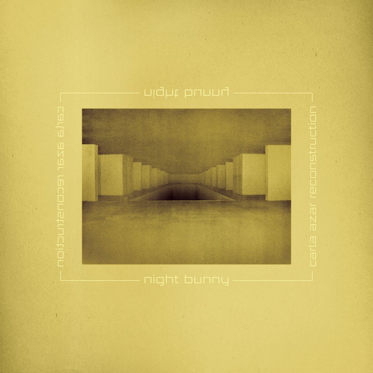 Album cover of Night Bunny (feat. Suzanne Ciani) (Carla Azar Reconstruction)