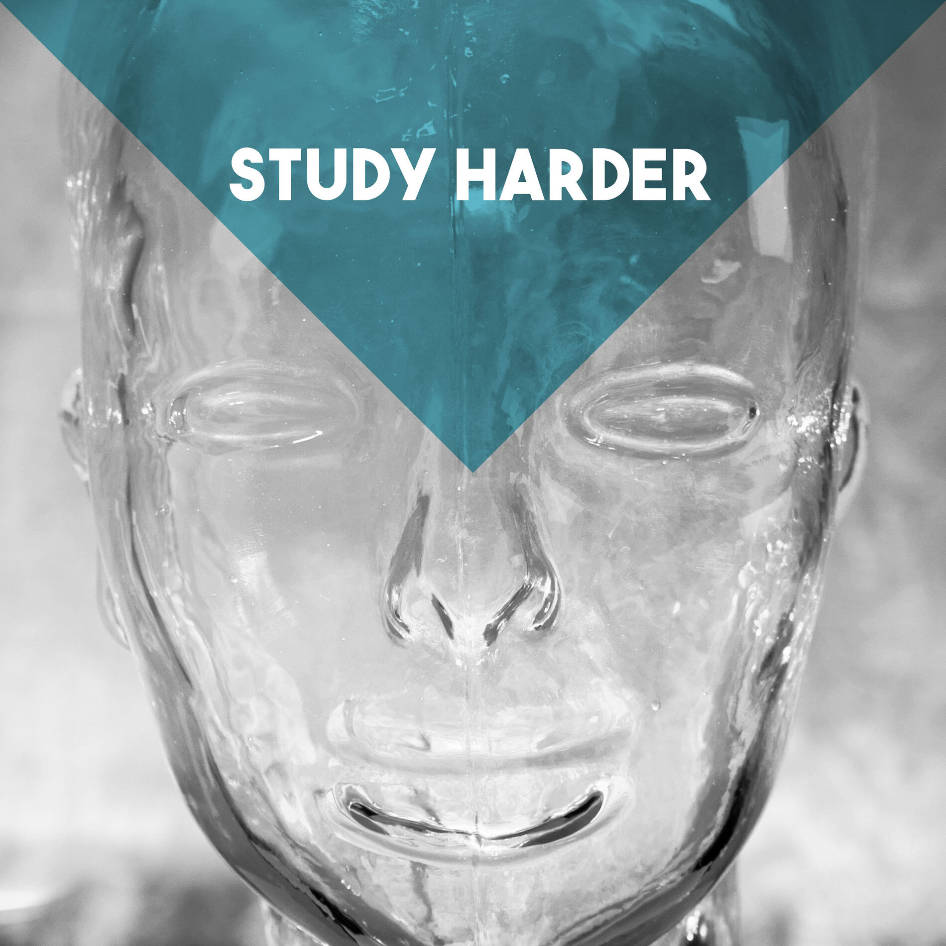 Album cover of Study Harder