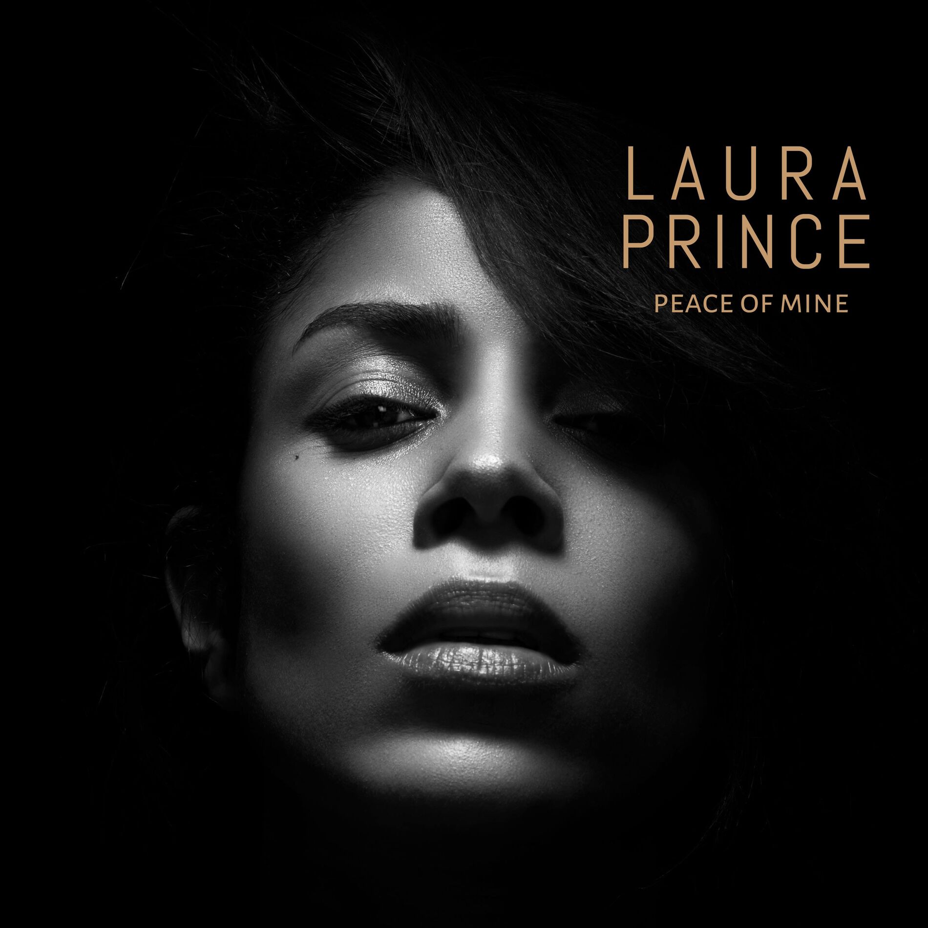 Album cover of High in Love