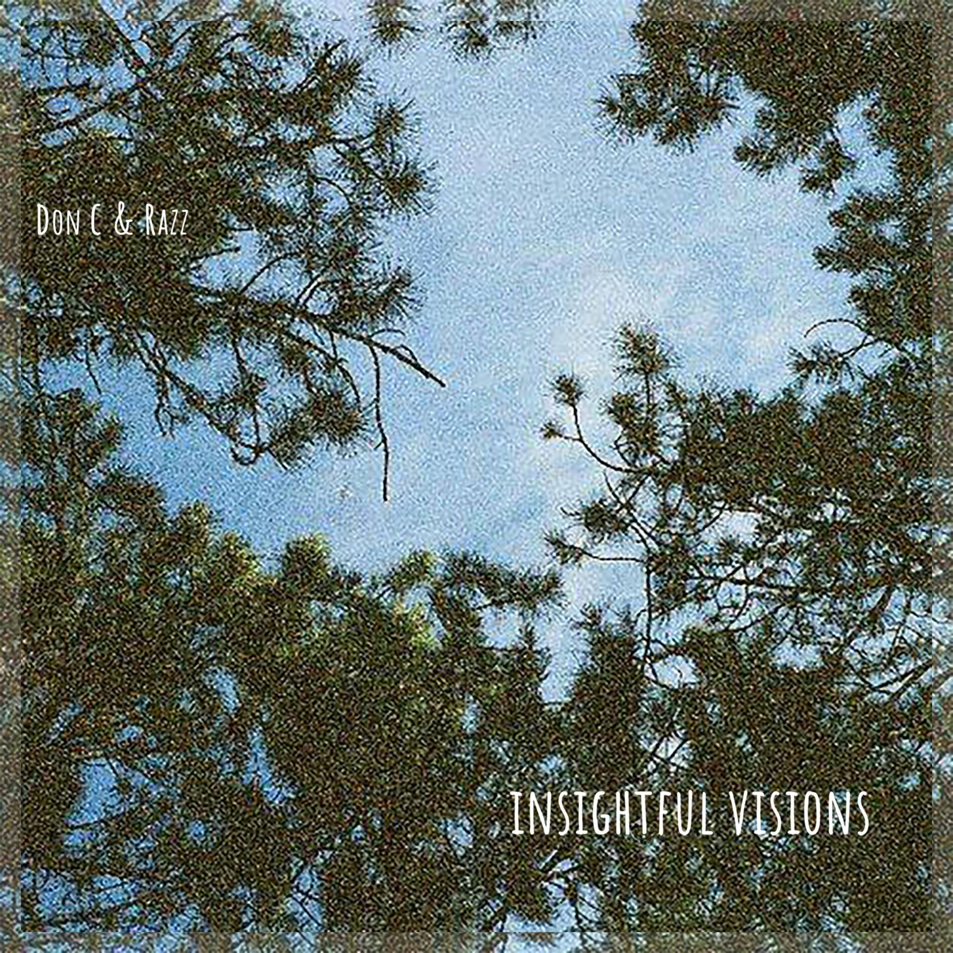 Album cover of Insightful Visions