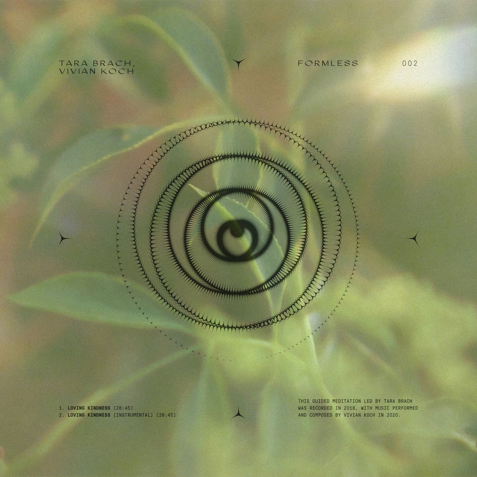 Album cover of Loving Kindness