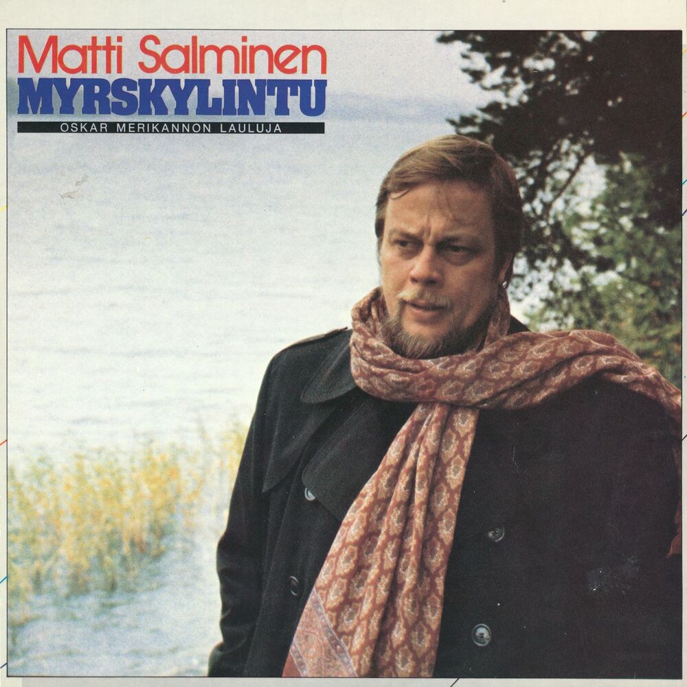 Picture of Myrskylintu