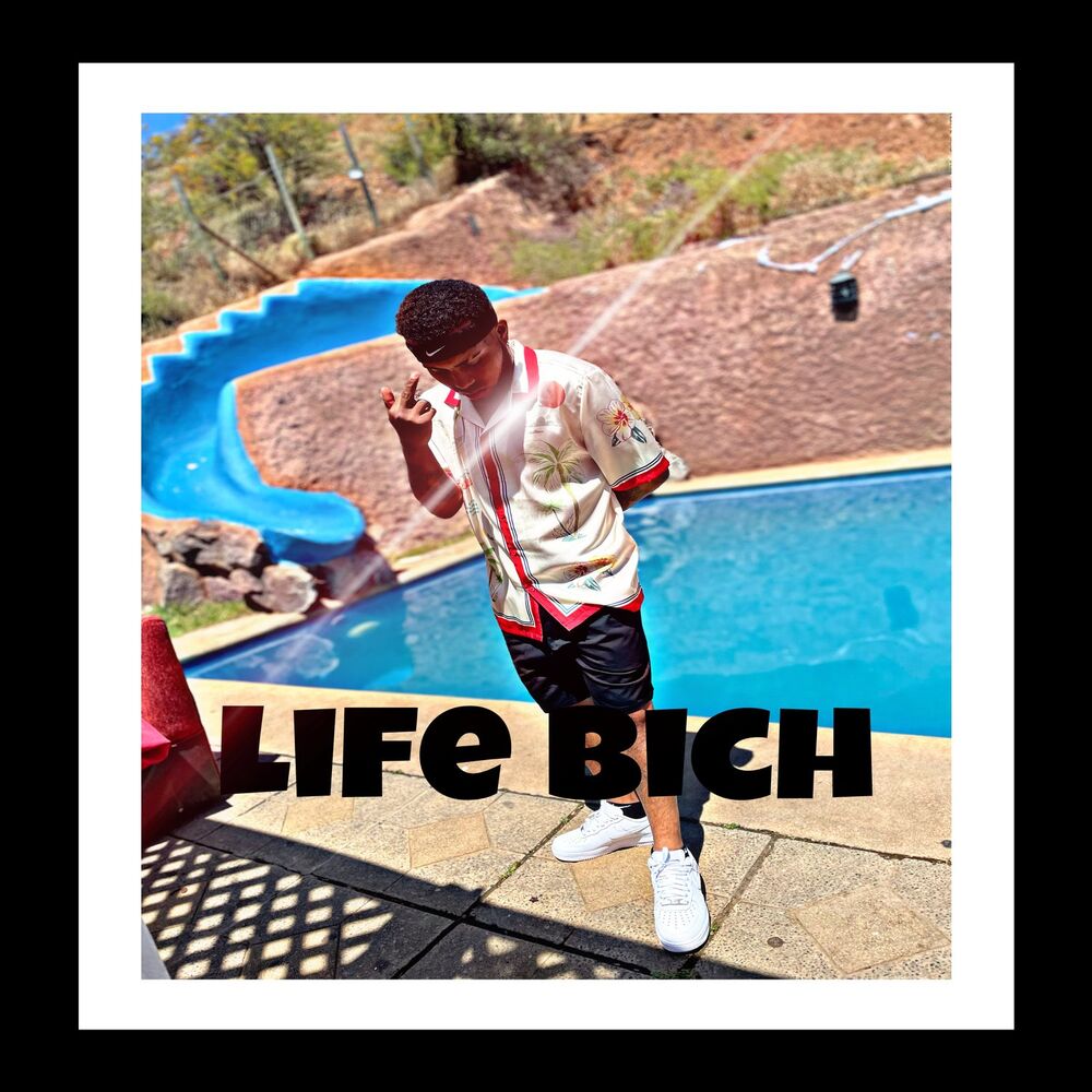 Picture of Life Bich