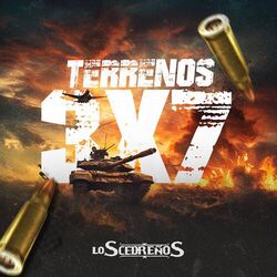 Cover of Terrenos 3x7
