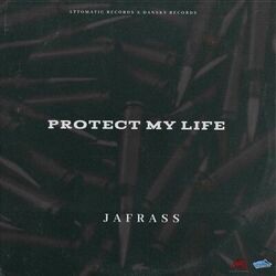 Cover of Protect My Life