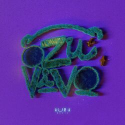 Cover of Ozu Vivo (Live)