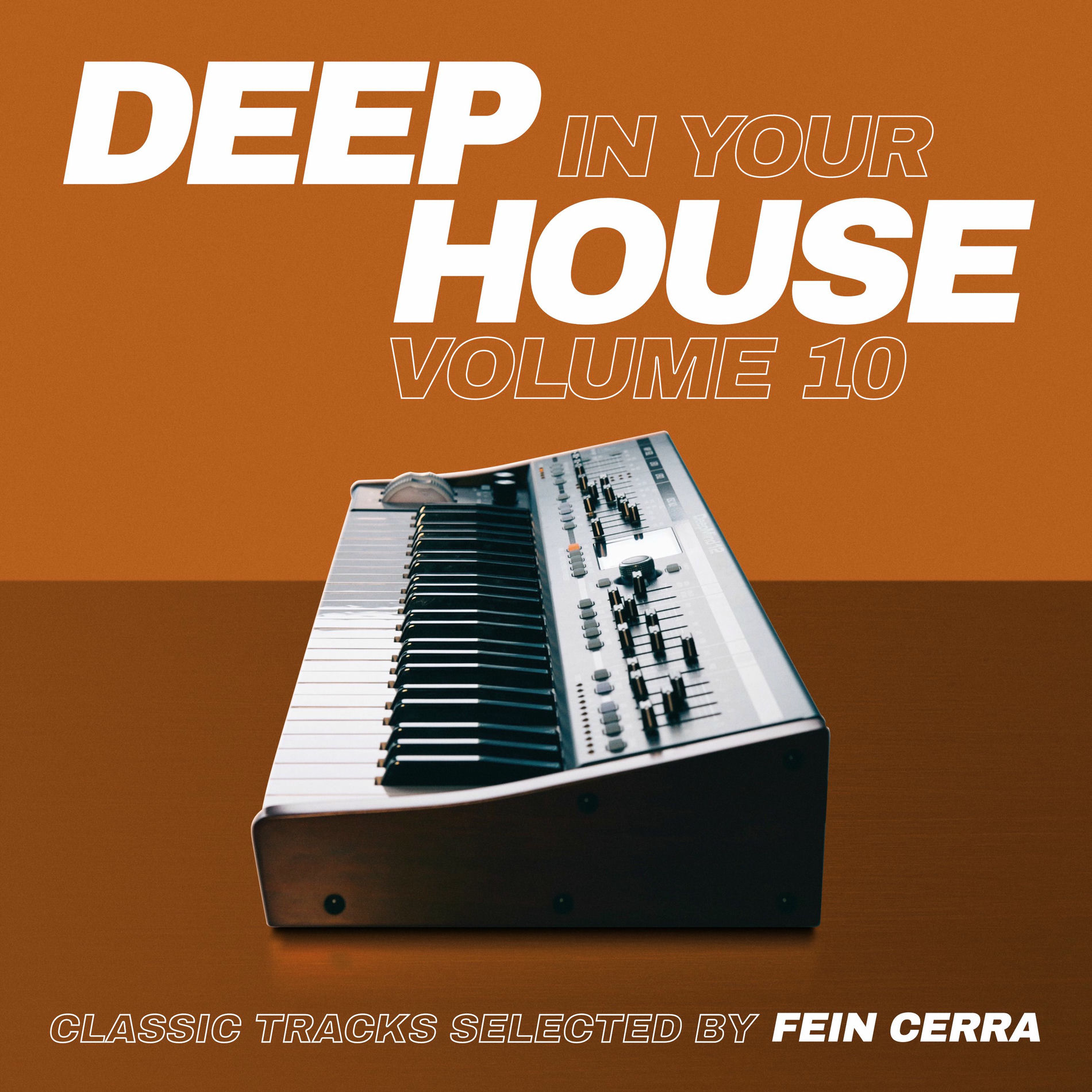 Album cover of Deep in your House Vol.10