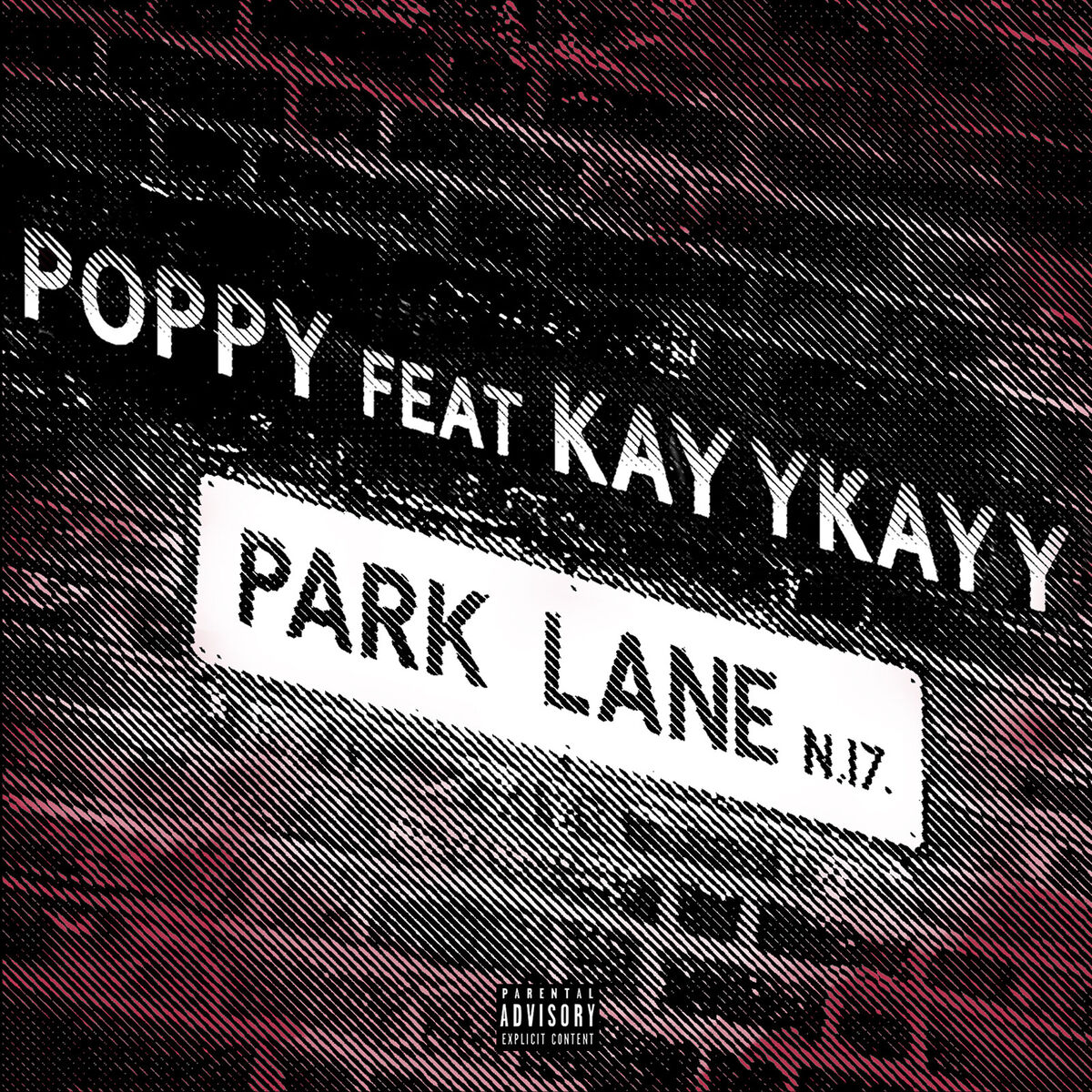 Album cover of Park Lane